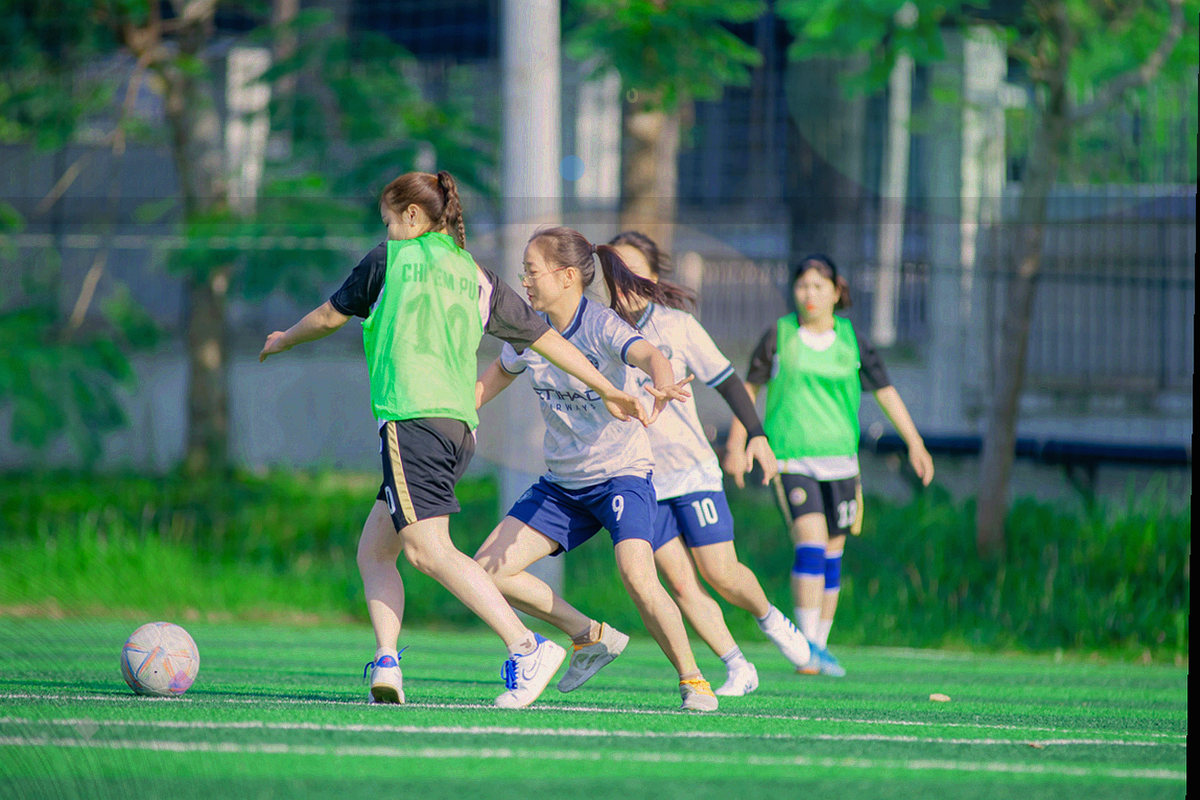 球场看台分区示意图，用色块区分不同看台区块与容量数字